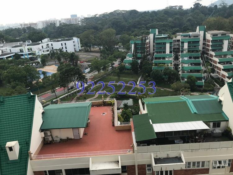 Pandan Valley (D21), Condominium #169295852